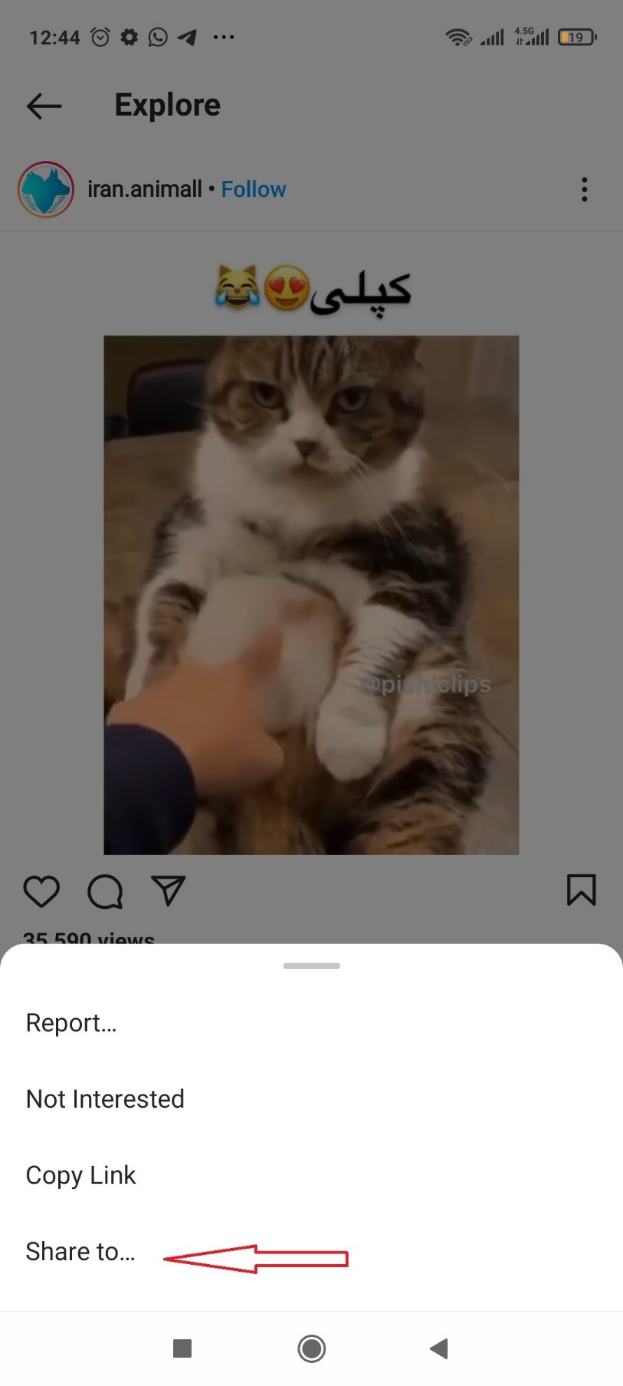 با انتخاب گزینه نشان داده شده در تصویر فوق پست‌ها را نشر دهید.