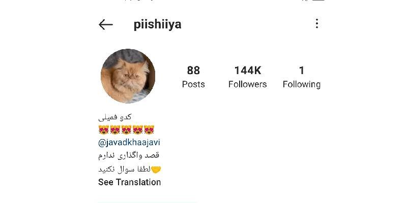 محبوبیت صاحب پیج از جمله فاکتورهای مهمی است که آن پیج را به بهترین پیج اینستاگرام برای تبلیغ تبدیل می‌کند.